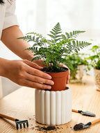 Ceramic Plant Pots,6 inch+4.7 Inch Planter Pot with Drainage Holes,Ceramic Planters for Indoor Plants,Modern Flower Pots for Indoor Outdoor Plants House & Office Décor,Cream White