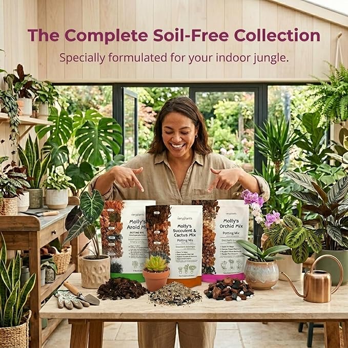Molly's Orchid Potting Mix - Premium Gritty Soilless Orchid Mix - Chunky High Drainage vs Standard Potting Soil for Indoor Plants - Contains Bark, Coco Chips, Akadama, Pumice, Lava Rock 5 Dry Quarts