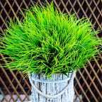 Artificial Monkey Grass Outdoor Shrubs - 20 Bundles Fake Plants UV Resistant No Fade Faux Plastic Greenery Home Garden Porch Patio Decoration Office Indoor (Green Grass)