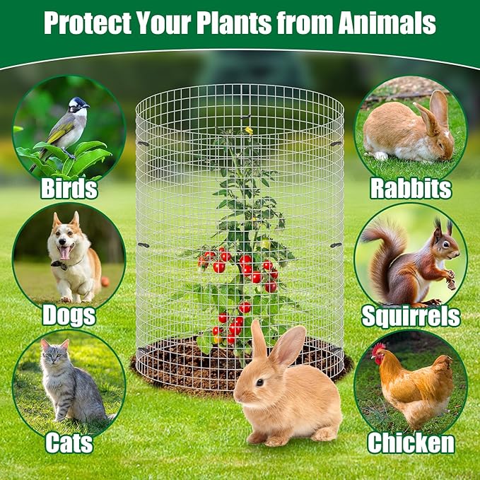 30Pcs Garden Plant Protector Cage 12''x12'', 10 Set Metal Wire Protectors for Plants, Protection Cages with Stakes Nylon Ties, Animals Barrier to Keep Chicken Rabbit Away from Plants Flower Vegetables