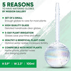 Clear Plant Watering Globes Set of 6 - Small Self Watering Globes for Indoor & Outdoor Plants - Automatic, Glass Watering Bulbs for Daily Use, Plant Watering Devices