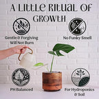 Organic Liquid Indoor Plant Food, Houseplant, Tropical & All-Purpose Indoor Plant Fertilizer, Organic Liquid Fertilizer 5-5-5 with Sea Kelp, 8oz Treats 50 Gallons