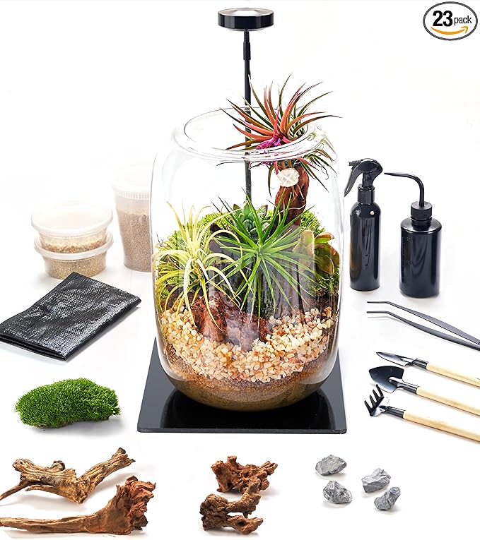 Terrarium Kit with Grow Light – 24-Piece DIY Glass Terrarium Set with Tools, Moss, Driftwood, Soil & Pebbles – Mini Gardening Kit for Air Plants, Succulents & Indoor Desk Decoration Gift
