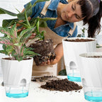 KIMCHOMERSE Self Watering Plant Pots, 6 Inch Plant Pots White, 3 Pack Flowers Pot Indoor Planter Pots with Tray for Spider Plant, Orchid, African Violet