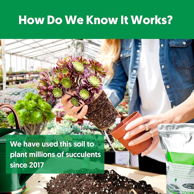 Succulent Cactus Potting Soil Mix (4 qt), All-Purpose Garden Potting Mix for Indoor Outdoor Plants, Quick Drain Houseplant Orchid Bonsai Perlite Soil, Ready-to-Use, Resealable Bag Design
