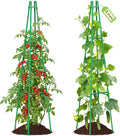 2 Pack 64" Tall Adjustable Obelisk Garden Trellis for Climbing Plants, Rust-Proof Pe Coated Metal Plant Trellis Support for Raised Beds, Potted Vines, Cucumbers, Tomatoes, Indoor Outdoor Use (2 Pack)