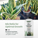 32oz Snake Plant Fertilizer for Snake Plant Live - Makes 192 Gallons of Fertilizer for Indoor Plants, Ideal for Healthy Growth, Strong Leaves, and Vibrant Color - Rich in Macro & Micronutrients