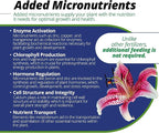 Jack's Classic 20-20-20 All Purpose Water-Soluble Fertilizer with Micronutrients to Provide General Growth on All Plants, 10lbs