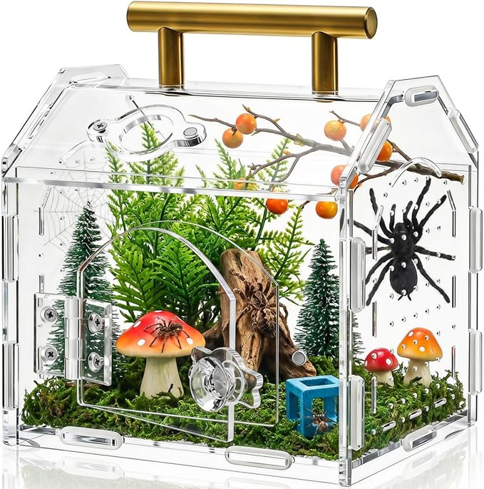 Tlence Jumping Spider Enclosure with Handle, Acrylic Reptile Habitat with One-Click Magnetic Closure, Front Opening Small Terrarium with Ventilation Holes for Tarantulas, Frogs, Gecko, Mantis