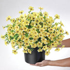 Artificial Morning Glory & Eucalyptus Topiary Trees - Set of 2 Faux Silk Flower Potted Plants, UV-Resistant Fake Outdoor Morning Glory Bushes for Front Door, Yard, Farmhouse, Garden Decor (Yellow)