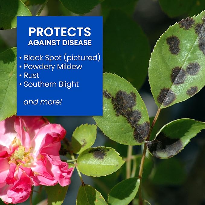 BioAdvanced All-In-One Rose and Flower Care I Granules - Fertilizer, Insect Control & Disease Control - Prevents Pests and Diseases - Up to 6 Weeks Protection - 4 lb Bottle