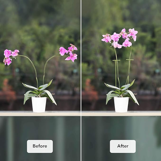 2 Pack Plant Stakes | Plant Supports for Tall Plants and Flowers | Green Garden Stakes | Help Your Flowers Grow | Tomato Cages for Garden | Plant Sticks for Orchid, Amaryllis, Peony, Peppers and More