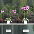 2 Pack Plant Stakes | Plant Supports for Tall Plants and Flowers | Green Garden Stakes | Help Your Flowers Grow | Tomato Cages for Garden | Plant Sticks for Orchid, Amaryllis, Peony, Peppers and More