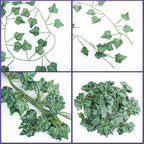 Fake Vines, 36 Pack 252 Feet Artificial Ivy Garland Vines for Bedroom Decor, Hanging Vines for Party Wedding Christmas Decoration,Fake Leaves for Outdoor Patio Garden