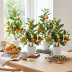 Suncalla 4 Pack Artificial Orange Potted Plants 19.7 Inches Fake Orange Tree Simulation Realistic Fruit Plant with Pot Faux Tree Indoor Decoration for Home Office Living Room Table Desk