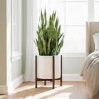 D'vine Dev Ceramic Planter with Walnut Color Stand - 14 Inch Modern Round Flower Pot with Wood Planter Holder, White, 55-B-T-1
