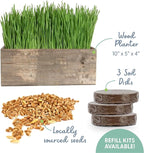 The Cat Ladies Cat Grass Kit Complete with Rustic Wood Planter, Organic Seed and Soil. Easy to Grow - Great for Indoor or Outdoor Cat, Dogs and Other Pets. Prevent Hairballs and Aid Digestion