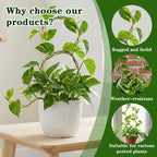 Nogeqi 2 Pcs Plant Support for Climbing, Metal Plant Trellis Indoor, 12 Inch Small Plant Stakes for Indoor Plants, Trellis for Climbing Plants Garden Potted (Gold)