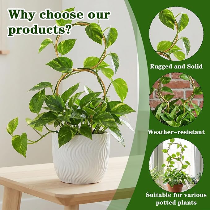 Nogeqi 2 Pcs Plant Support for Climbing, Metal Plant Trellis Indoor, 12 Inch Small Plant Stakes for Indoor Plants, Trellis for Climbing Plants Garden Potted (Gold)