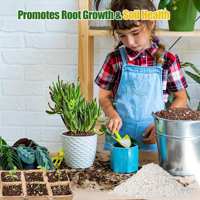 Horticultural Perlite for Plants 2qt, All Natural Horticultural Soil Additive Conditioner Mix, Improve Ventilation and Drainage, Enhance Soil Health and Root Growth