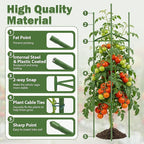 6 Pack Tomato Cage for Garden Plant Supports, Up to 53 Inch Tomato Trellis for Potted Plants, Heavy-Duty Garden Plant Stakes for Climbing Vegetables Plants Cucumber Peony Flowers, Green