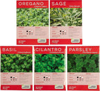 Herb Indoor Kitchen Window Garden Terrarium Starter Kit - Grow Your Own Basil, Oregano, Rosemary Sage, Cilantro, & Parsley - Includes Soil, Seeds & Complete Supplies - Unique Indoor House Plants