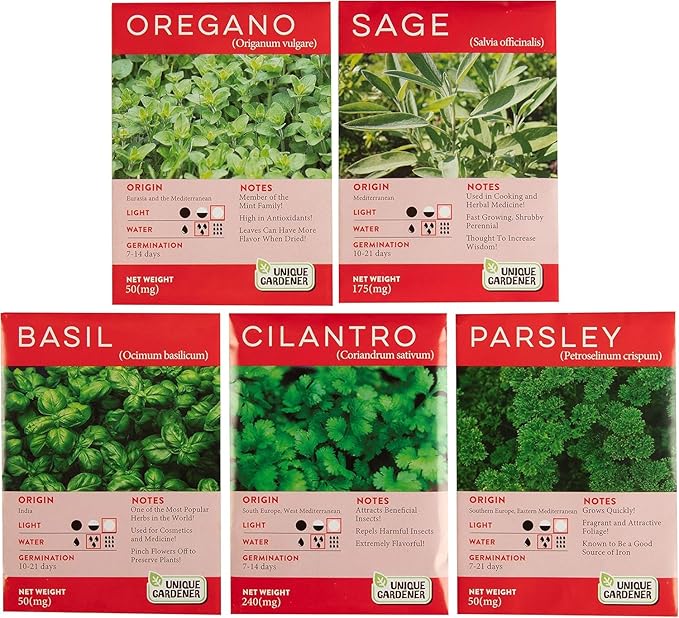 Herb Indoor Kitchen Window Garden Terrarium Starter Kit - Grow Your Own Basil, Oregano, Rosemary Sage, Cilantro, & Parsley - Includes Soil, Seeds & Complete Supplies - Unique Indoor House Plants