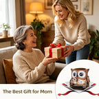 Saysmile Unique Owl Plant Pots Indoor, Cute Small Succulent Pots with Drainage Hole, Rocking Chair Planters for Outdoor Indoor Plants, Resin Flower Pot for String of Pearls, Gift Ideas for Mother
