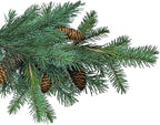 Jobe’s Slow Release Evergreen Fertilizer Spikes, Easy Plant Care for Cypress, Arborvitae, Pine, Cedar, and Many More Acid Loving Trees, 9 Count