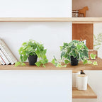 AceList 2 Pack Fake Plants Decor, Artificial Plants for Home Decor Indoor, Fake Ivy Potted Plants for Shelf Decor Realistic Faux Plants Indoor with Pot for Home Living Room Bedroom Office Decoration