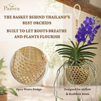 Premium Edition - Thai Natural Light Bamboo Super Sanctuary Orchid Hanging Basket 6 Inch (Set of 2)
