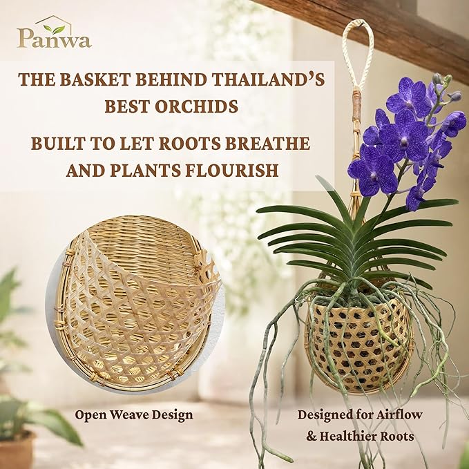 Premium Edition - Thai Natural Light Bamboo Super Sanctuary Orchid Hanging Basket 6 Inch (Set of 2)