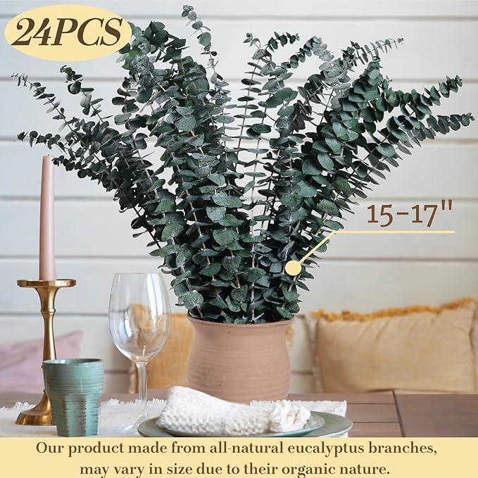 Dried Eucalyptus for Shower Hanging - 17'' Real Large Preserved Eucalyptus Stems Green Home Decor, 100% Made from Fresh Eucalyptus Leaves, Bathroom Shower Decor, Wedding, DIY (24PCS)