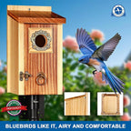 SISTERBIRD Premium Pack of 2 Bluebird Houses for Outside, Garden Bird Houses for Outdoor, Vintage Metal Predator Guard, Birdhouse Gift, Weatherproof Coating Bird Nesting, Assembly Required