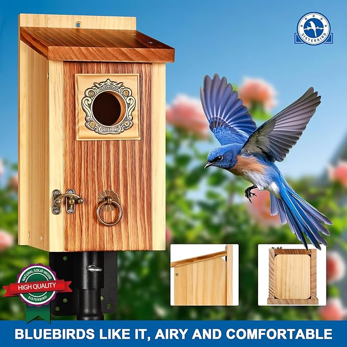 SISTERBIRD Premium Pack of 2 Bluebird Houses for Outside, Garden Bird Houses for Outdoor, Vintage Metal Predator Guard, Birdhouse Gift, Weatherproof Coating Bird Nesting, Assembly Required