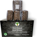 MycoHaus Mushroom Growing Kit | Sterilized Rye Grain | Magic Indoor Grow Bags for Mushrooms | Shroom Home Cultivation Magic Supplies | Without Spores | Without Injection Ports | 2 Pound (12 Pack)