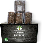 MycoHaus Mushroom Growing Kit | Sterilized Rye Grain | Magic Indoor Grow Bags for Mushrooms | Shroom Home Cultivation Magic Supplies | Without Spores | Without Injection Ports |1 Pound (36 Pack)