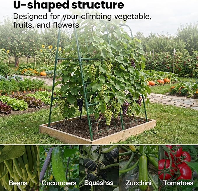 Cucumber Trellis for Raised Bed, Garden Trellis for Climbing Plants Outdoor, Metal Arch Trellis U-Shape Vegetables Support for Tomotoes Grape Vines Beans Peas (Green, 31.5" L x 24" W x 48" H)