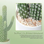 Artificial Cactus Small Fake Succulents Ceramic Plant for Home, Office, Kitchen, Living Room, Desk, Shelf, and Indoor Dec- 2packs