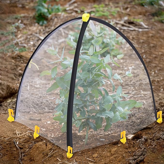 PURPLE STAR 1N 28 x28 x 33 Inch Insect Barrier Plant Tent Cover-Pest Guard Cover-Bird Barrier Netting Mesh with Stakes for Protect Plants Fruits Flower from Insect Bird Eating (1, M)