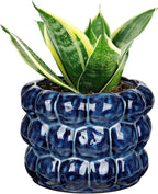 7.5 Inch Ceramic Planter Pot for Indoor Plants with Drainage Hole Bubble Flower Planter Hobnail Plant Pot Garden Planter Blue Succulent Plant Pot Utensil Holder