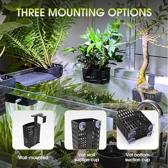 2 PCS Upgraded Aquarium Plant Holder, Adjustable Thickness Height Fish Tank Plant Holder with 2 Extension Hooks and 2 Suction Cups for Fish Tank Aquaponic Cultivation