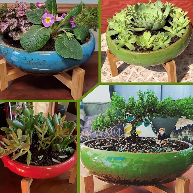 ARTKETTY Succulent Pots - 10 Inch Large Ceramic Bonsai Pots with Drainage Stand for Indoor Plants Shallow Planters Decorative Cactus Flower Plant Container Bowl