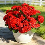 Fake Outdoor Flowers, 8 Pcs Artificial Flowers For Outdoors, Red Artificial Geraniums Plastic Flowers, Fake Plant For Outside, Silk Faux Flowers For Outdoor Planters UV Resistant For Front Porch