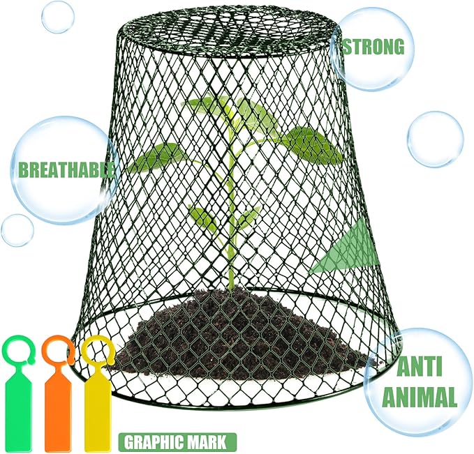 10 Pieces Chicken Wire Plant Covers Wire Garden Cloches Chicken Wire Cloche Plant Protector Metal Heavy Duty Garden Plant Cloche for Keeping Bunnies Chicken Squirrels Birds Other Out(9×9in) (Green)