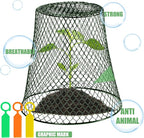 10 Pieces Chicken Wire Plant Covers Wire Garden Cloches Chicken Wire Cloche Plant Protector Metal Heavy Duty Garden Plant Cloche for Keeping Bunnies Chicken Squirrels Birds Other Out(9×9in) (Green)