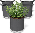 Patigrow Self-Watering Grow Bags, 5-Pack 10 Gallon 420G Thick Nonwoven Fabric Pots with Reinforced Handles and Multi-Purpose Rings, for Low Stress Plant Training Fruits, Vegetables,and Flowers