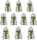 10 Packs Garden Cloches for Plants, Plant Protectors from Animals, Chicken Wire Cloche, Plant Cloche and Cage, Protection for Your Plants and Seedlings, 13" D x 20" H - Black