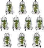 10 Packs Garden Cloches for Plants, Plant Protectors from Animals, Chicken Wire Cloche, Plant Cloche and Cage, Protection for Your Plants and Seedlings, 13" D x 20" H - Black