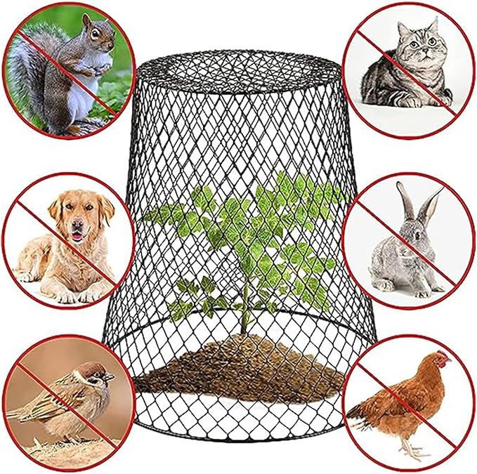 Wire Cloche Plant Covers for Animals, Garden Netting Metal Plant Protectors for Animals for Keeping Bunnies Chicken Squirrels Birds, Wire Cloche for Plants Shrubs Vegetables Flowers Black 1pc